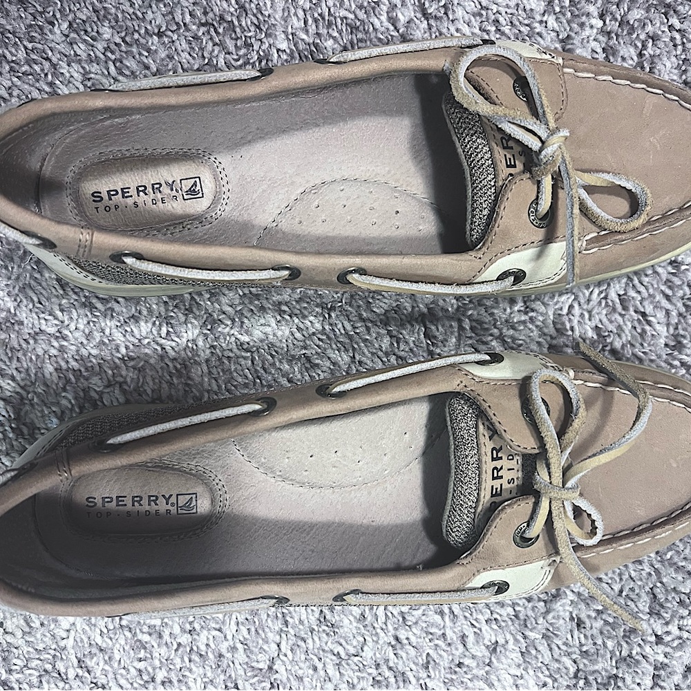 Sperry Angelfish